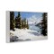 Stupell Industries Way Up North Landscape Framed Giclee, design by Petal Prints Design